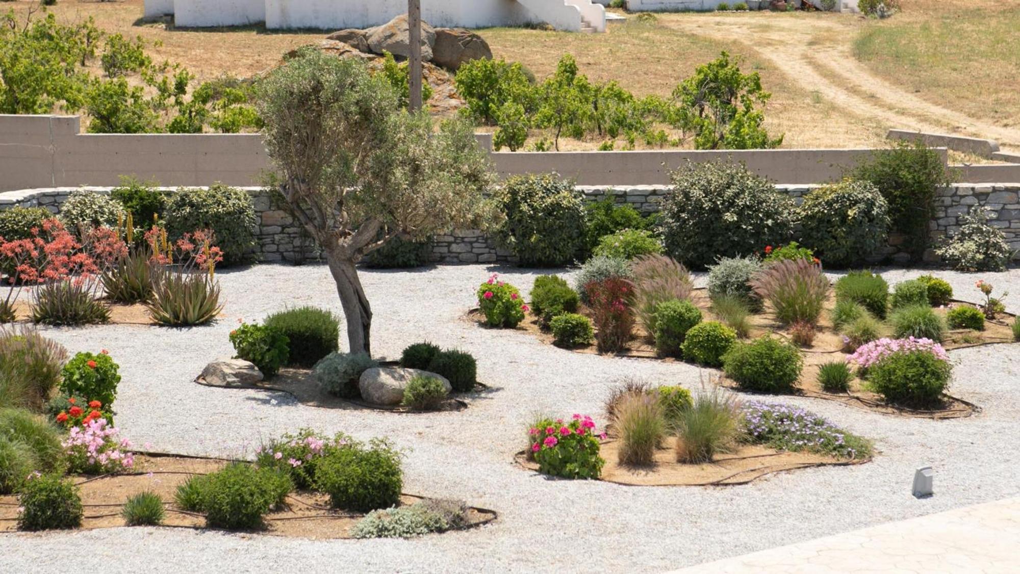 Agia Anna  Olives Rocks Naxian Villas מראה חיצוני תמונה