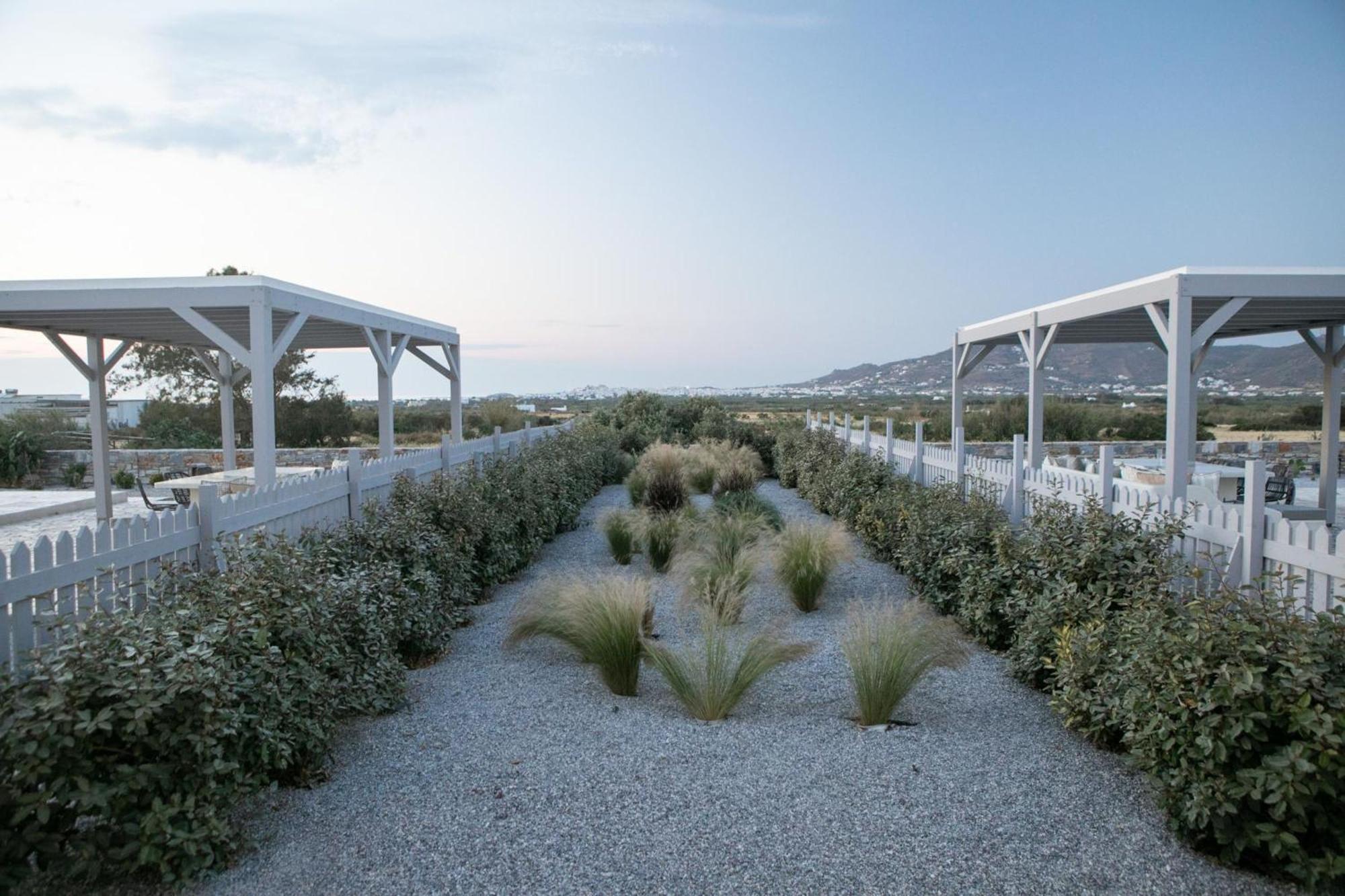 Agia Anna  Olives Rocks Naxian Villas מראה חיצוני תמונה